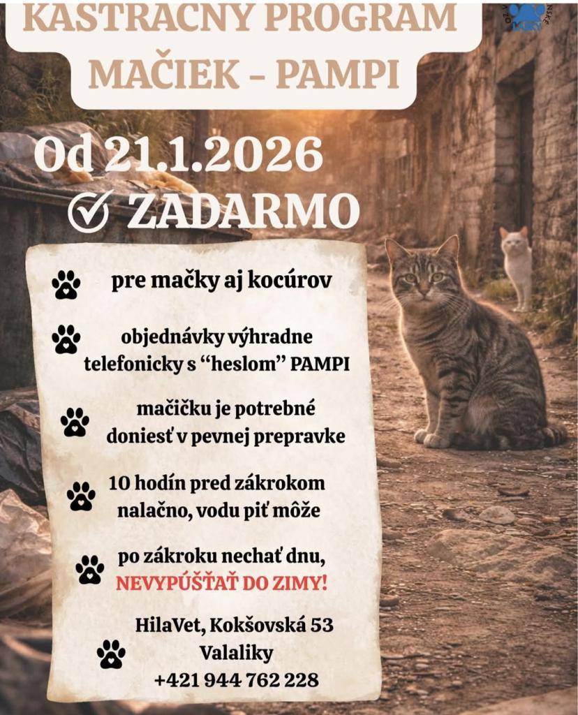 Bezplatný kastračný program mačiek aj vo Valalikoch