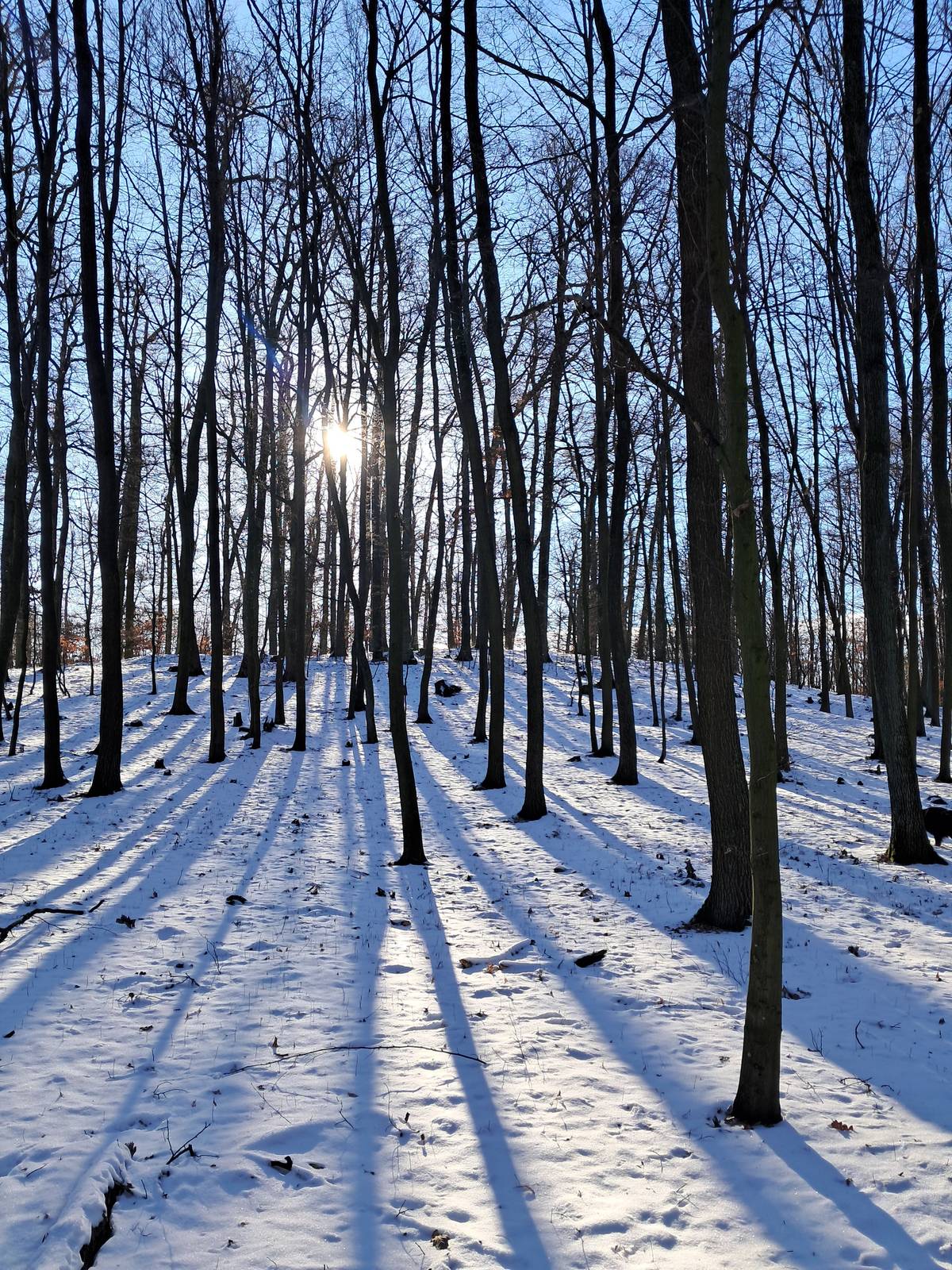 Hlasujte prosím v naší nové anketě. Budeme rádi za vaše nápady. https://www.munipolis.cz/app/anketa/anketa-nejvyssi-bod