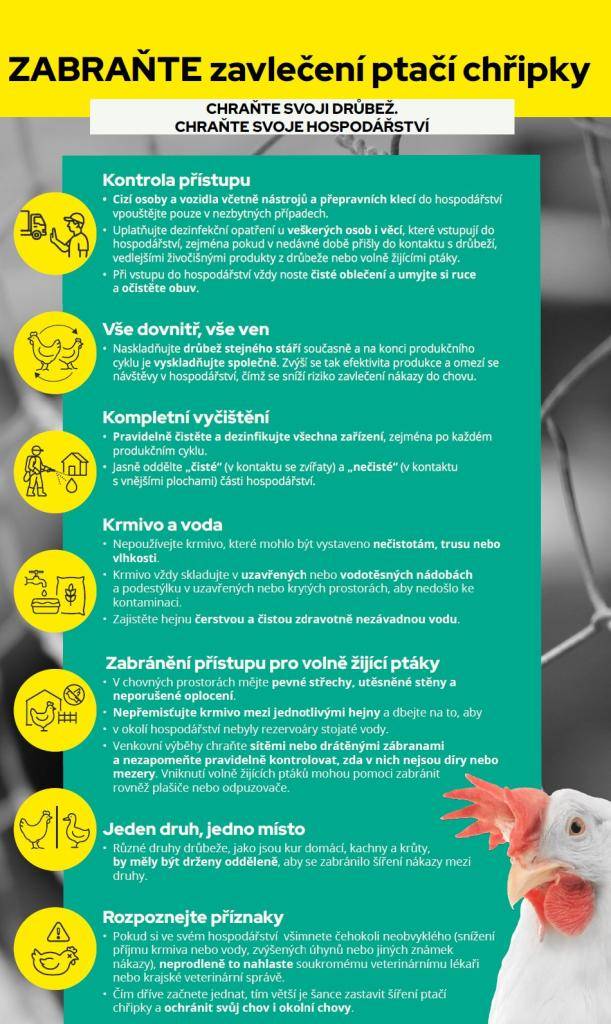 Abychom ochránili naše hospodářství před ptačí chřipkou, je nezbytné dodržovat několik důležitých opatření. Kontrola přístupu osob a vozidel, pravidelná dezinfekce a udržování čistoty jsou klíčové kroky v prevenci šíření nákazy. Také je důležité oddělovat různé druhy drůbeže a zajistit, aby do chov
