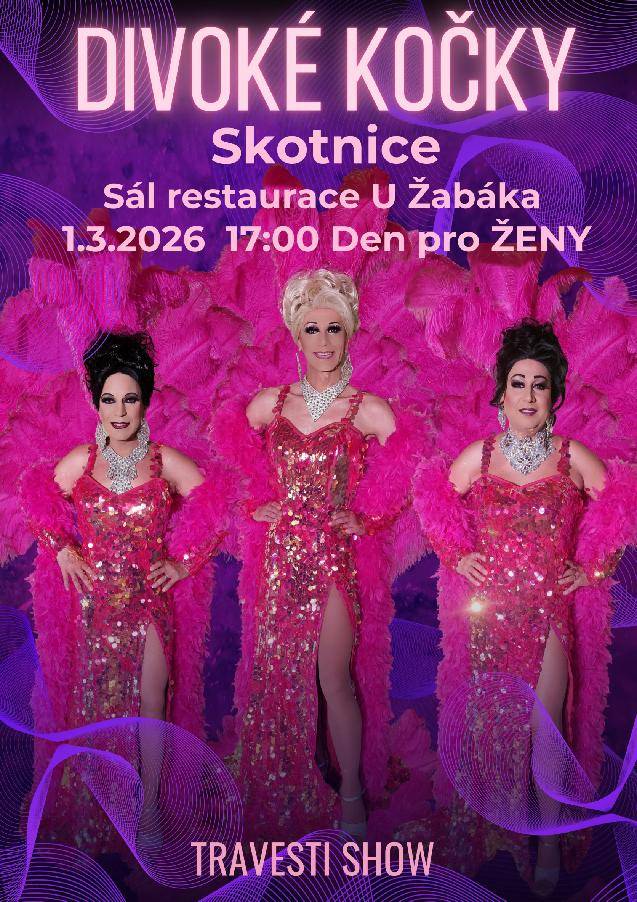 V sobotu 1. března 2026 se uskuteční travesti show určená pro ženy v sále restaurace U Žabáka ve Skotnici. Akce začíná v 17:00 hodin a slibuje jedinečnou zábavu a příjemnou atmosféru.