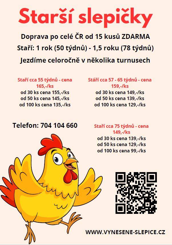 Prodej slepic Informujeme chovatele o možnosti objednat si  kvalitní starší slepice s dovozem „až do kurníku“.  Více informací na letáku: