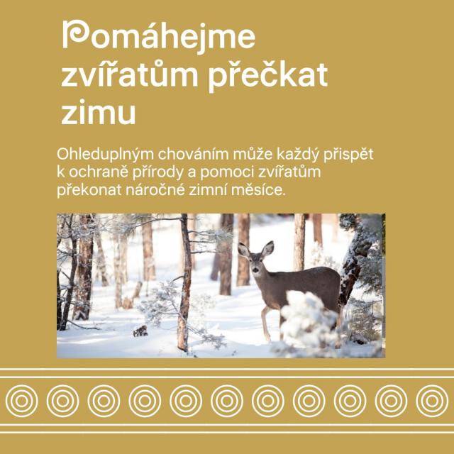 Zimní období je pro volně žijící zvířata jedním z nejnáročnějších úseků roku. Nízké teploty, sníh a omezené zdroje potravy znamenají zvýšenou energetickou zátěž, která může být pro řadu živočichů až fatální. Město Prostějov proto vyzývá veřejnost k ohleduplnému chování a pomoci zvířatům, která v zimě naši pomoc potřebují nejvíce.                               Číst dál...