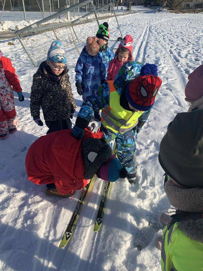 Letošní zimní počasí nám přálo, a tak jsme si  se třídou Včelky mohli v rámci tématu zimních sportů vyzkoušet běžkování. Malý běžkařský okruh na místním fotbalovém hřišti bohatě vystačil na naše první krůčky na lyžích.