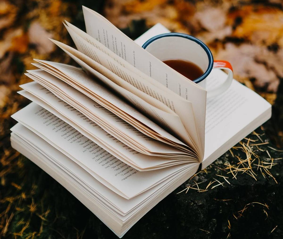 UZAVŘENÍ KNIHOVNY 26.1.2026