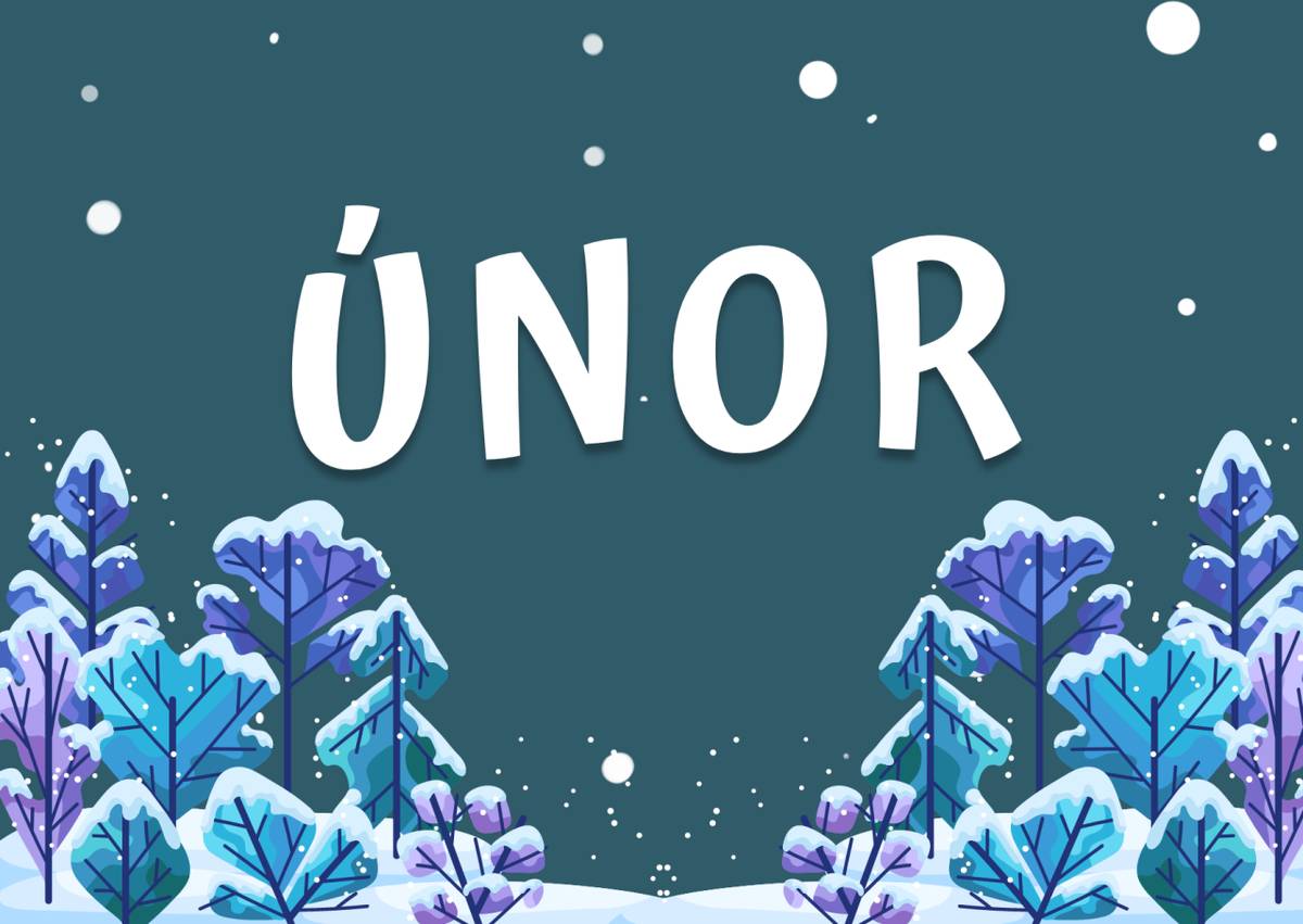 Plánované akce na únor 2026