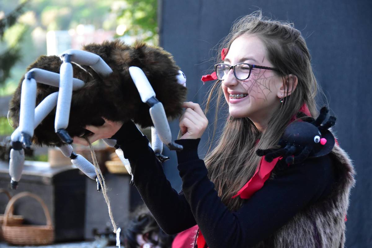 V městském dotačním programu na podporu kultury je pro letošní rok vyčleněno 450 tis. Kč. Získat lze prostředky na jednorázové kulturní akce i na dlouhodobou činnost. Termín pro podání žádostí je 28. února. Pravidla dotačního programu a další potřebné dokumenty dokumenty najdete na webu města vimperk.cz/kultura-a-cestovni-ruch/ds-1029/ Žádost musí být podána datovou schránkou, e-mailem s elektronickým podpisem, poštou či osobně na podatelnu městského úřadu. Žádost je možné podat též přes nový Portál občana Vimperk na adrese portal.vimperk.cz