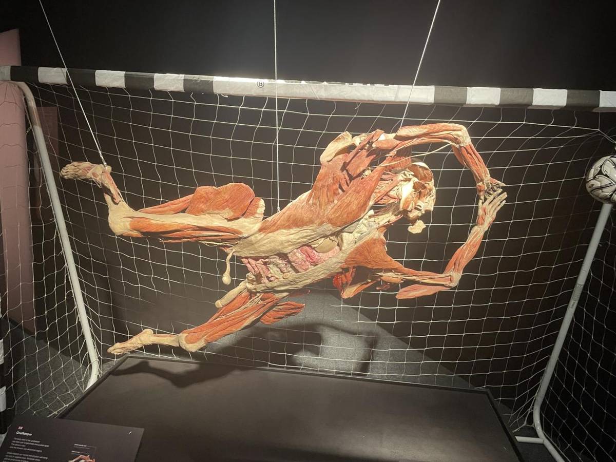 Úžasná výstava s žáky devátých ročníků