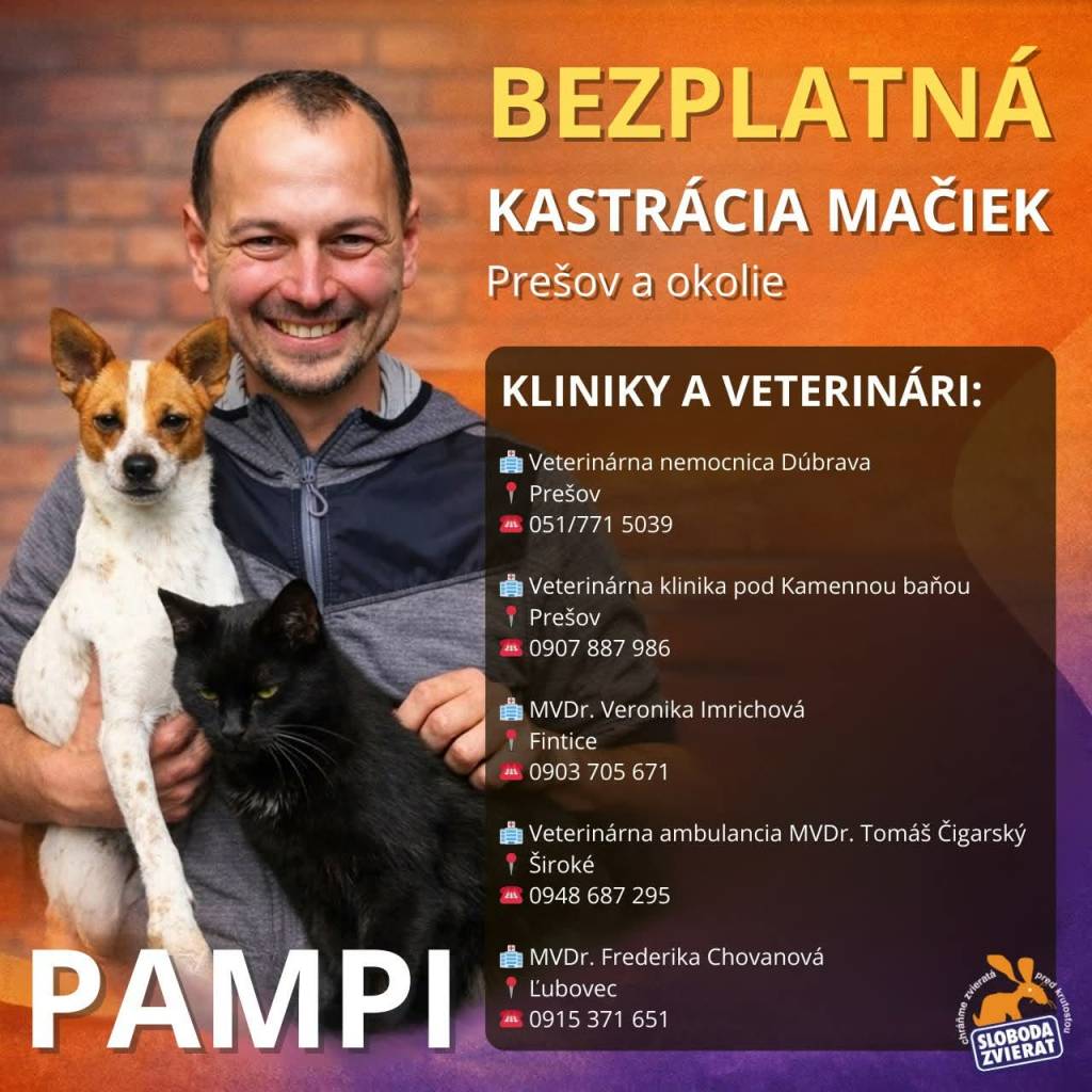 Bezplatná kastrácia mačiek