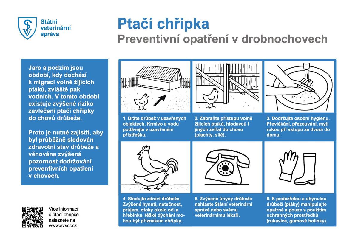 Podle informací Krajské veterinární správy byl v obci Kvasice potvrzen výskyt ptačí chřipky u volně žijících ptáků. Žádáme občany, zejména drobné chovatele drůbeže, aby zvýšili opatrnost – zamezili kontaktu drůbeže s volně žijícím ptactvem a umístili krmivo i vodu do uzavřených prostor nebo pod přístřešek. Při nálezu uhynulých ptáků nebo podezření v chovu volejte krizovou linku 720 995 201.