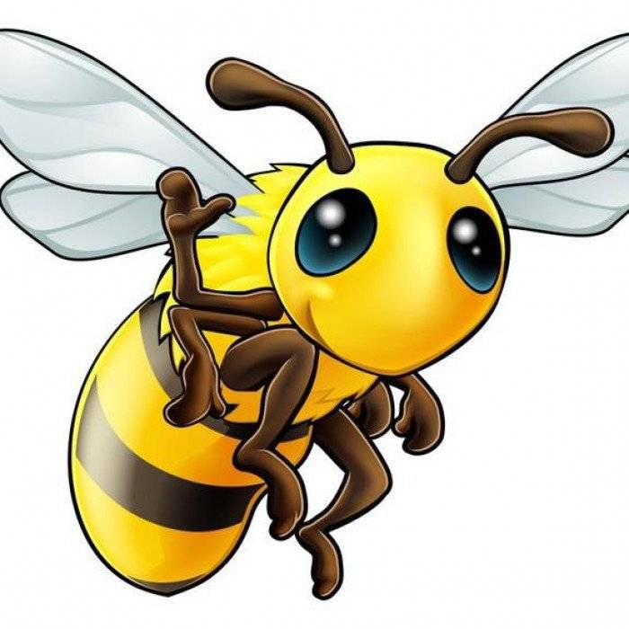 Přednáška pro veřejnost 1.2.2026 od 9:00 hodin v Doubravici Sršeň asijská Chráněná fauna Blatenska Noví paraziti ve včelách Po přednášce bude následovat trh s upomínkovými předměty a výrobky z vosku   Včelařský bál 6.2.2026 od 20:00 hodin v Doubravici Hraje Experiment