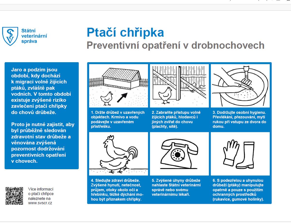 V obci Kvasice na řece Moravě byly nalezeny uhynulé labutě, u nichž byl ve Státním veterinárním ústavě Praha dne 26. 1. 2026 potvrzen vysoce patogenní virus ptačí chřipky, subtyp H5N1.