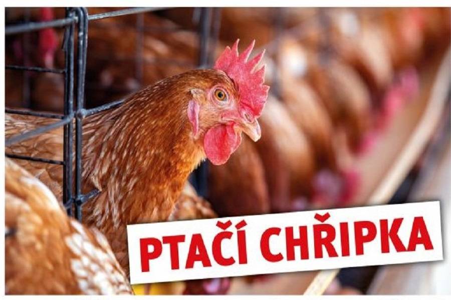 Mimořádná veterinární opatření k zamezení šíření nebezpečné nákazy-vysoce patogenní aviární influenzy v Plzeňském kraji, a to na základě potvrzení výskytu této nákazy v chovu drůbeže v municipalitě Furth im Wald, Zemský okres Cham, Svobodný stát Bavorsko.