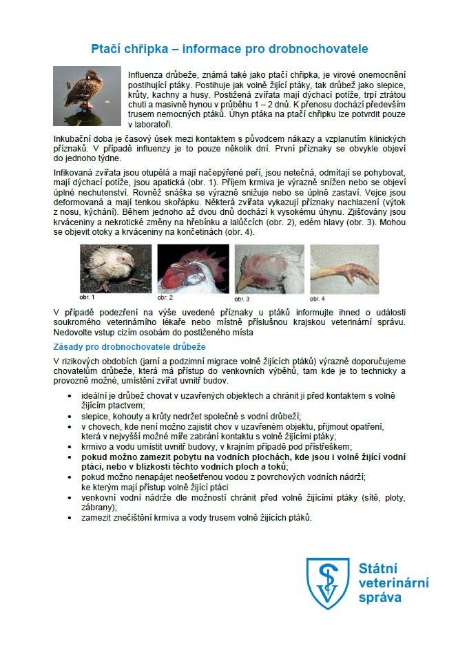 Ptačí chřipka je virové onemocnění, které vážně ohrožuje drůbež a volně žijící ptáky. K přenosu viru dochází převážně trusem nemocných ptáků, což může vést k rychlému úhynu infikovaných zvířat. Chovatelé by se měli zaměřit na ochranu svých chovů, zejména během jarní a podzimní migrace ptáků, a zajis