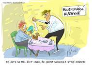 Kolik stojí jedna molekula?