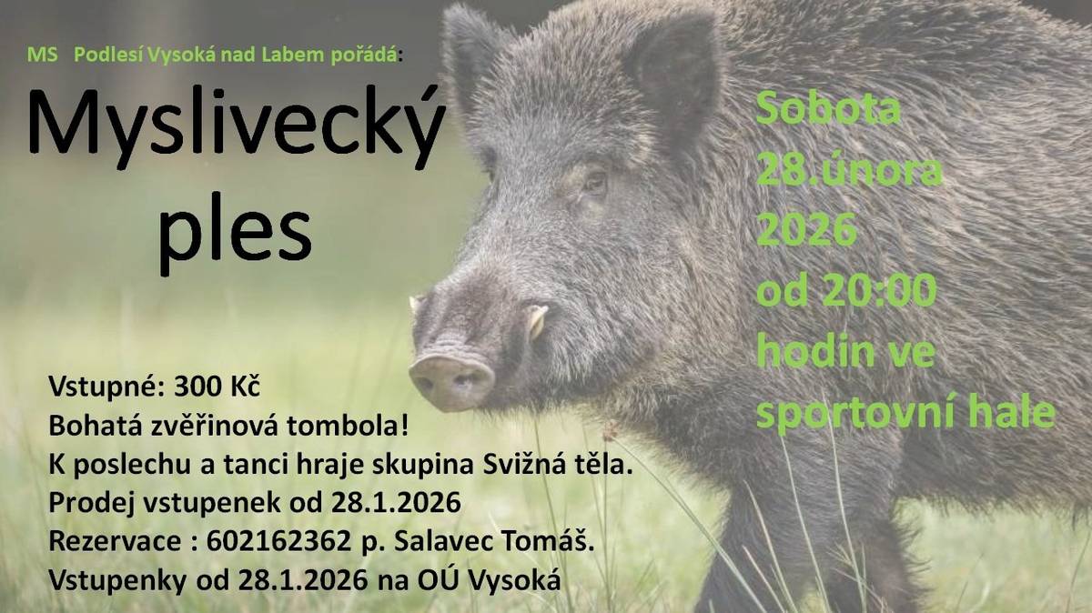 MS Podlesí Vysoká nad Labem zve na myslivecký ples Sobota 28.února 2026, od 20:00 hodin ve sportovní hale Vstupné: 300 Kč Bohatá zvěřinová tombola! K poslechu a tanci hraje skupina Svižná těla. Rezervace : 602162362 p. Salavec Tomáš. Prodej vstupenek na obecním úřadě.
