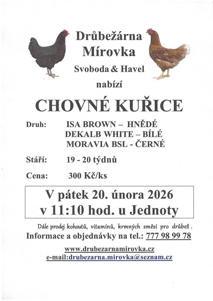 DRŮBEŽÁRNA MÍROVKA, Svoboda-Havel, prodává v pátek 20. února 2026 v 11:10 hod. u Jednoty nosné kuřice  (hnědé, černé a bílé) - stáří 19-20 týdnů, cena 300  Kč/ks.  Objednání  je možné na tel.: 777 98 99 78 nebo drubezarna.mirovka@seznam.cz