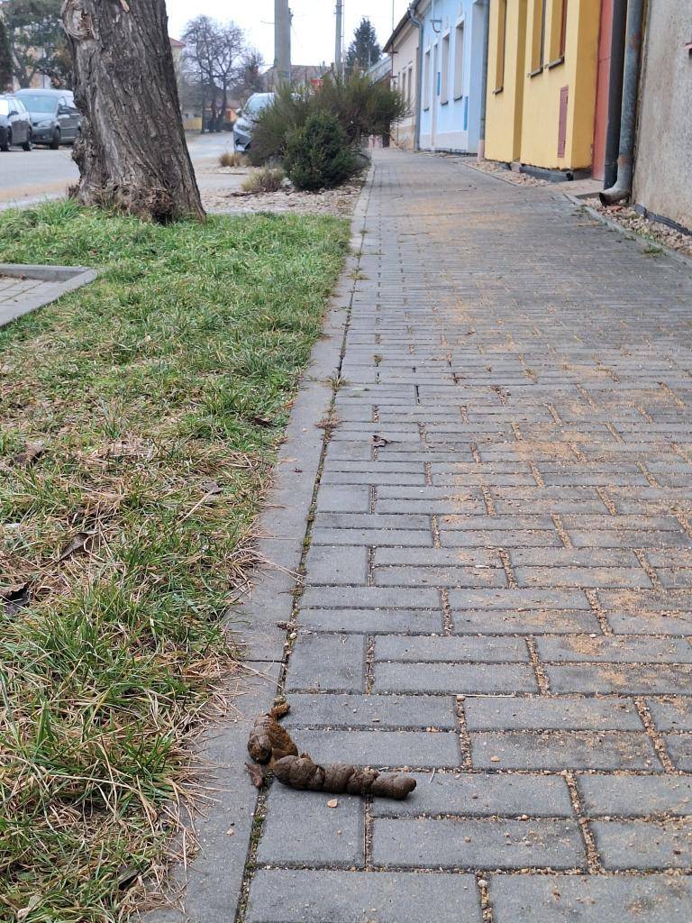 Obec Vranovice žádá všechny majitele psů, aby po svých mazlíčcích řádně uklízeli jejich exkrementy. Sáčky u odpadkových košů jsou pravidelně doplňovány. Děkujeme za pochopení.