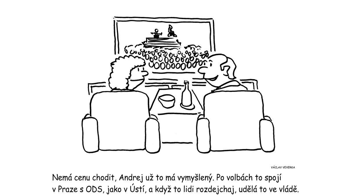 Babiš je o krok před Milionem chvilek pro demokracii