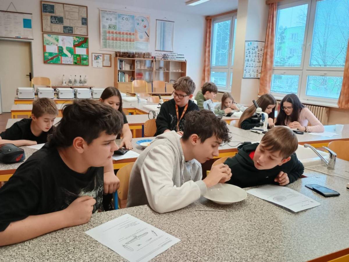 Laboratorní práce z přírodopisu na téma "Ptáci".