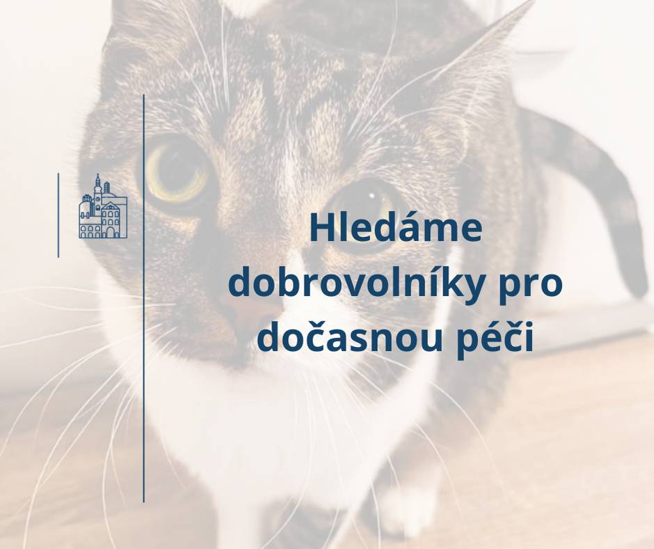 V našem městě žijí i němé tváře, které čekají na druhou šanci. Kočky, které ztratily domov, nebo ho nikdy nepoznaly. Proto hledáme dobrovolníky, kteří jsou ochotni otevřít své srdce i domov „dočasné péči“, a kteří se chtějí s námi podílet na pomoci zachraňovat životy.  Stát se dočasným pečovatelem u nás neznamená finanční zátěž. Naopak. Město se zavázalo k maximální podpoře každého dobrovolníka. více čtěte Hledáme dobrovolníky pro dočasnou péči - Moravská Třebová