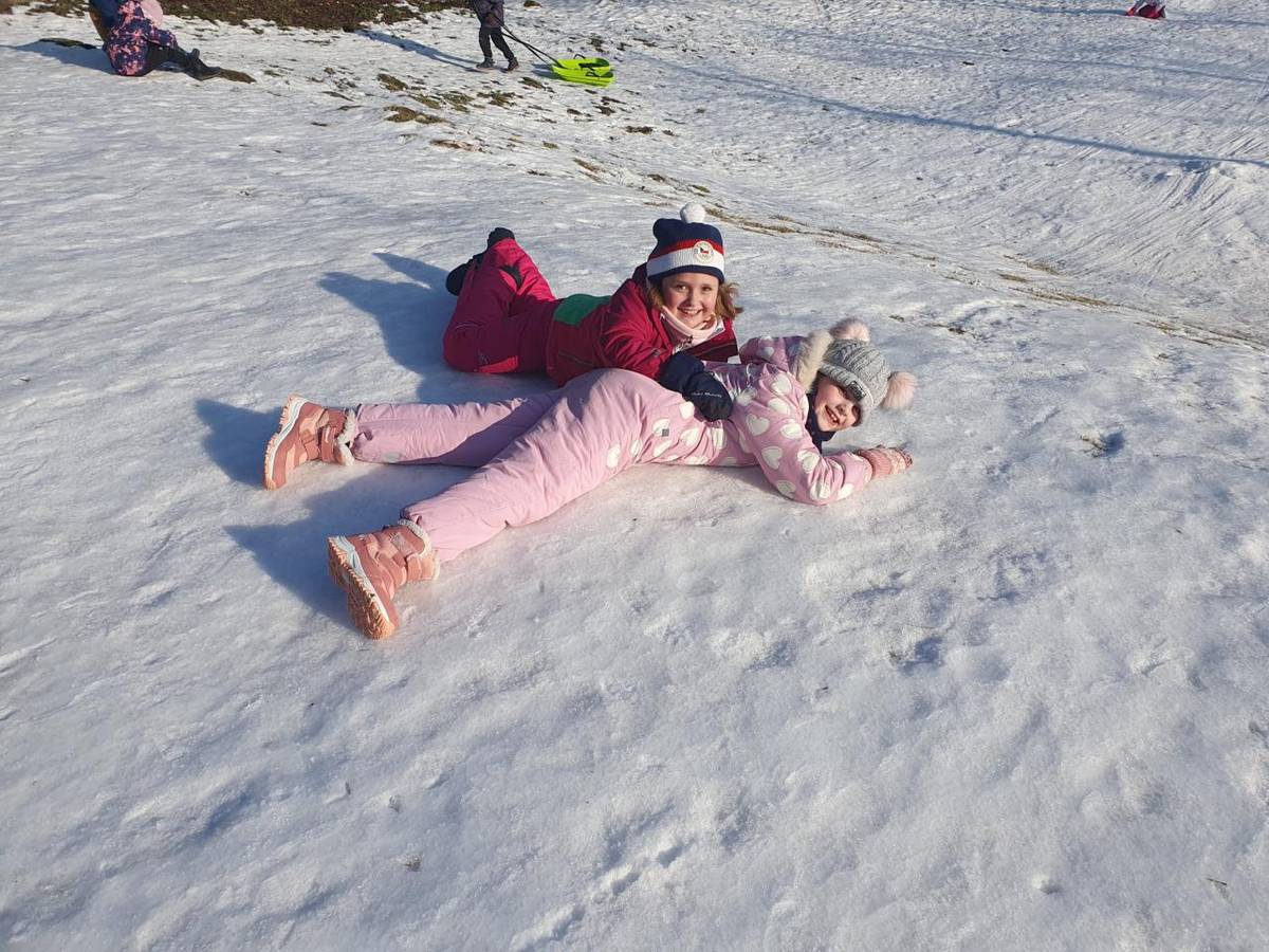 Leden ve žluté družině