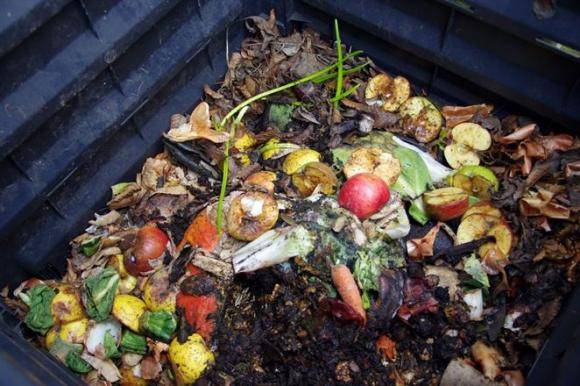 Od 01.01.2021 vzniká podľa zákona o odpadoch č. 79/2015 Z. z. povinnosť pre samosprávy (obce) vytvoriť podmienky a zabezpečiť triedenie a zber biologicky rozložiteľného kuchynského odpadu (BRKO).