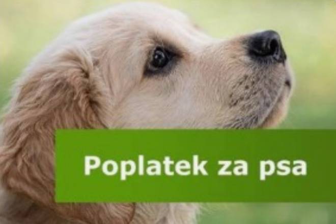 V souvislosti s přípravou předpisů místního poplatku ze psa pro rok 2026 žádáme majitele psů, pokud dojde ke změně – např. úmrtí, úhyn, změna vlastníka psa apod., aby tuto skutečnost neprodleně oznámili na OÚ, jak je jejich povinností (viz. OZV č. 02/2023). Jinak pes zůstává stále evidován u majitele a povinností obce jako správce poplatků je tento poplatek vymáhat.