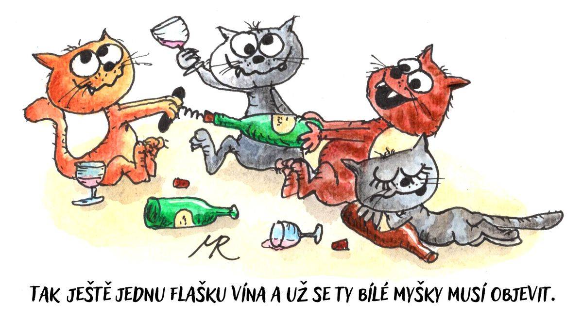 Kočky, co se ani při čekání nenudí