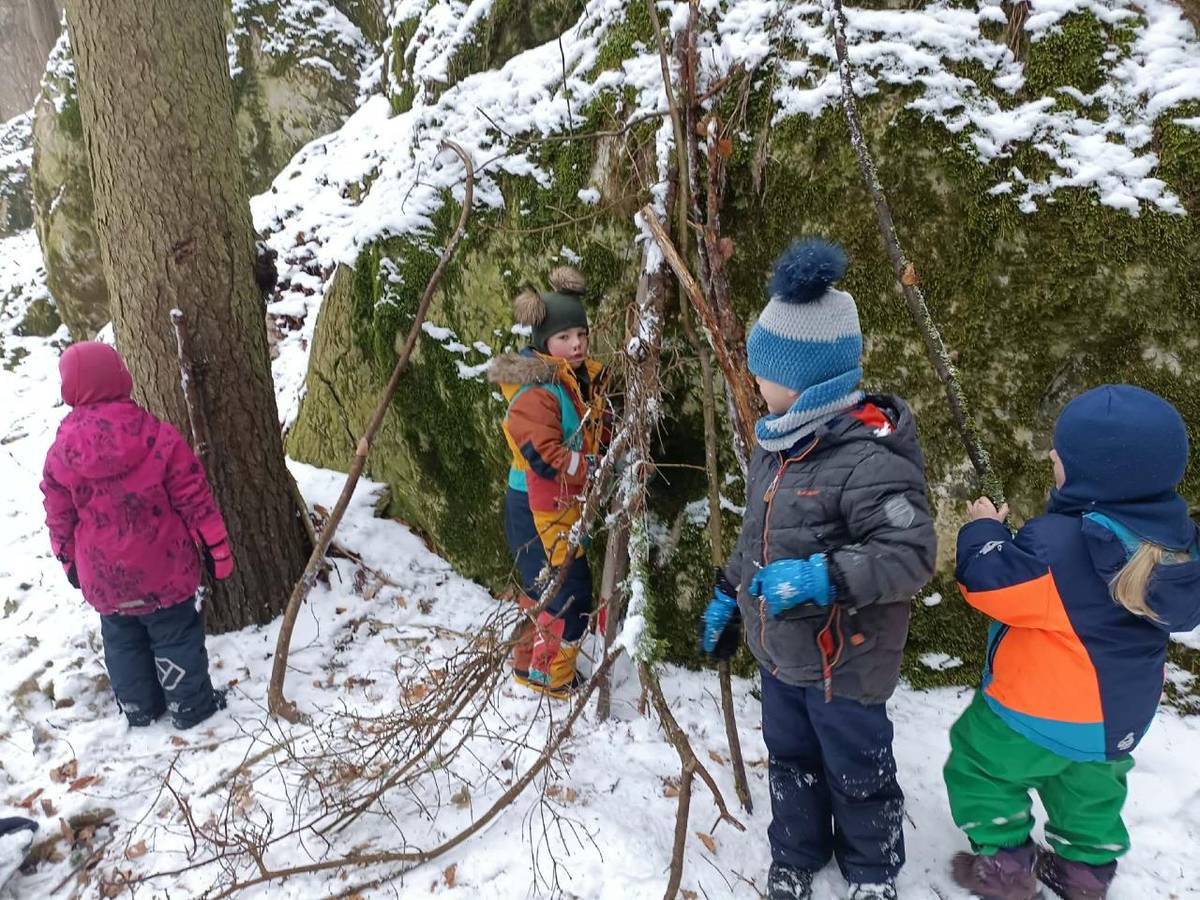 V zimě les odpočívá. Stromy bez listí tiše stojí a pod sněhem vše spí.