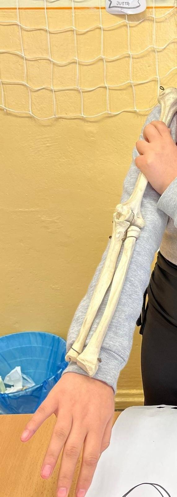 Fotogalerie si můžete prohlésnout ZDE.