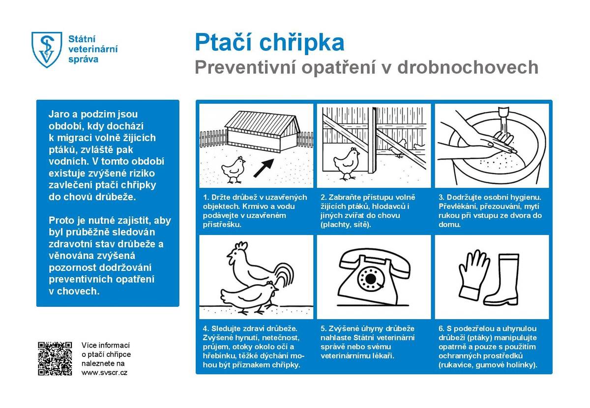 Vážení občané, obracíme se na Vás v souvislosti se zjištěním hromadných úhynů volně žijících ptáků v blízkosti našeho města, u kterých byla laboratorně potvrzena vysoce patogenní aviární influenza (ptačí chřipka), subtyp H5N1. Nebezpečná nákaza byla potvrzena u volně žijících ptáků na území obce Dolní Lutyně a rovněž u uhynulé husy divoké ve Starém Městě u Karviné. Vyšetření provedl Státní veterinární ústav, přičemž pozitivní nález byl potvrzen specializovanými referenčními laboratořemi. Žádáme občany, aby se nedotýkali uhynulých nebo nemocných ptáků a v případě jejich nálezu postupovali výhradně dle pokynů Krajské veterinární správy Státní veterinární správy pro Moravskoslezský kraj. Chovatelům drůbeže a jiných ptáků chovaných v zajetí se doporučuje důsledné dodržování opatření biologické bezpečnosti, zejména:   zabránit kontaktu chovaných ptáků s volně žijícím ptactvem,   umístit krmivo a napájecí vodu do budov nebo pod přístřešky,   sledovat zdravotní stav chovaných ptáků.   V případě zvýšených úhynů, změn zdravotního stavu nebo snížení produkce vajec je nutné tyto skutečnosti neprodleně oznámit Krajské veterinární správě. Kontakty KVS SVS pro Moravskoslezský kraj: tel. 720 995 203 tel. 727 970 602 Děkujeme za obezřetnost a spolupráci.