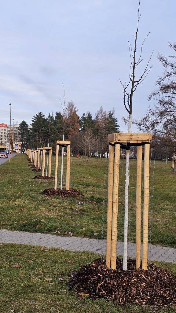 VÝROČNÍ ZPRÁVA 2026