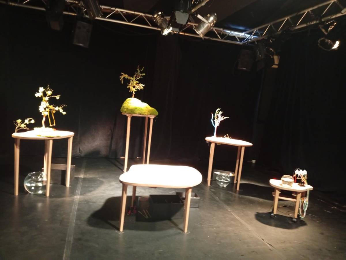 Dňa 4.2.2026 sme si spríjemnili deň návštevou predstavenia " A prečo?"