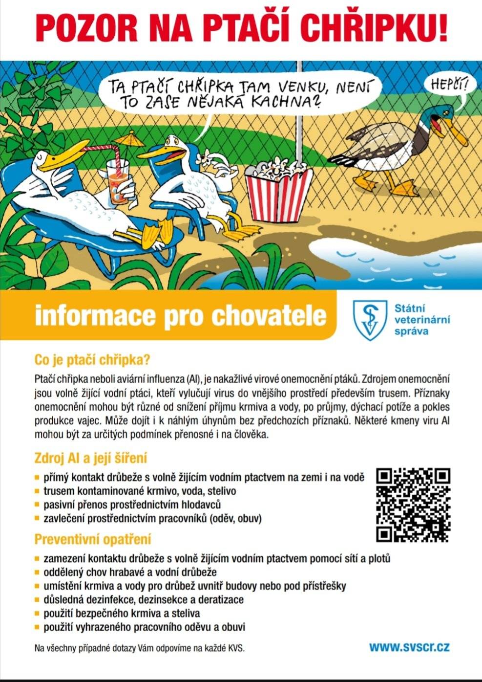 Pozor pozor. V Počedělicích jsme nalezli uhynulou labuť. Potvrzena patogenní virus aviární influenzy (HPAI), subtyp H5N1. Ochraňte svůj chov.