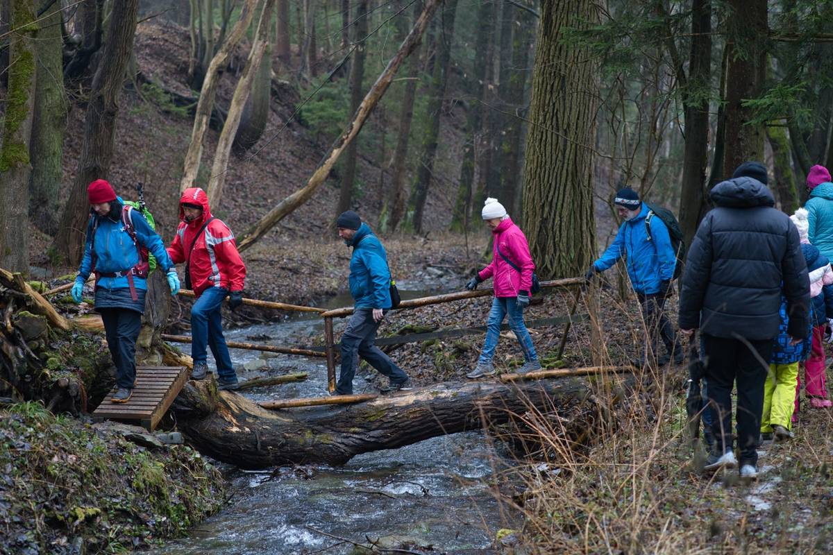 V neděli proběhla přírodovědná vycházka Vratíkovským krasem, kterou uspořádalo Muzeum regionu Boskovicka. Akce přilákala hojný počet účastníků, kteří se pod vedením průvodkyně Kateřiny Laštůvkové seznámili se zajímavostmi místní krajiny, geologie i přírody. V průběhu vycházky se dozvěděli řadu informací o zdejších rostlinách a živočiších i o charakteristických rysech krasového území. Fotil Oto Matal.