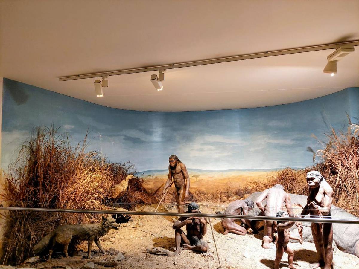 Předávání  pololetního vysvědčení čtvrťákům proběhlo v pavilonu Anthropos v Brně.