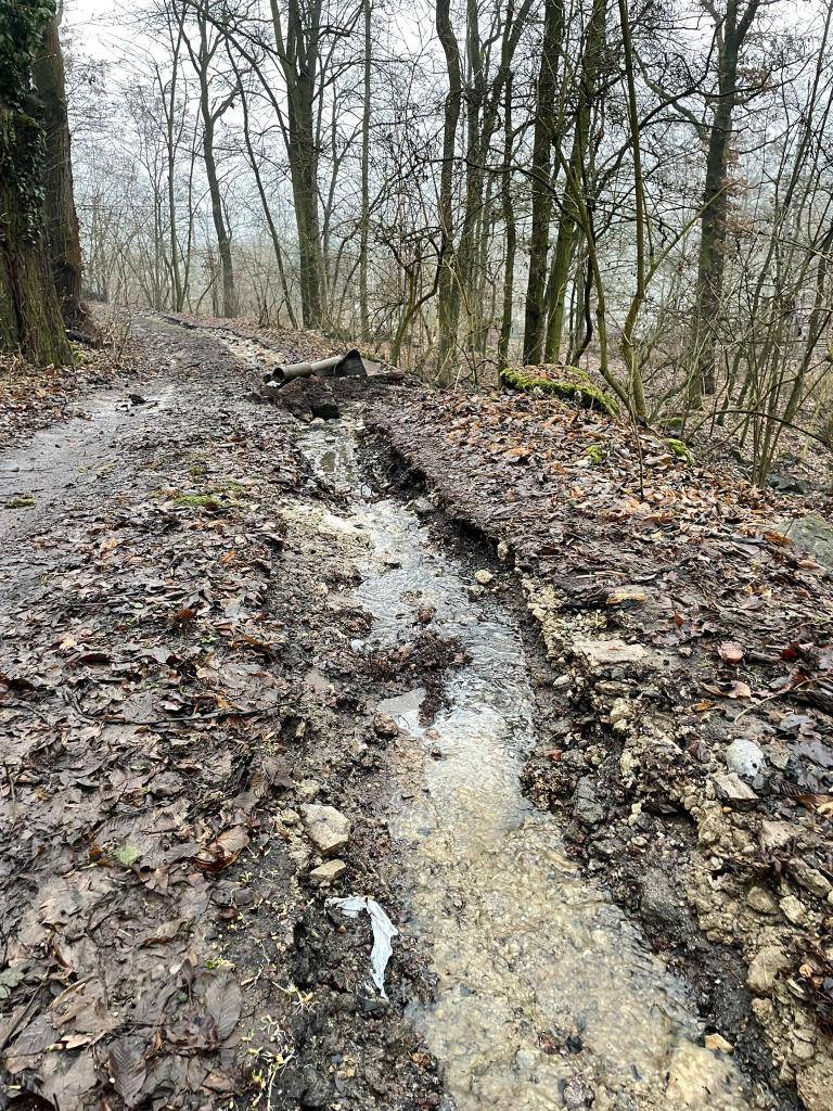 Ve čtvrtek 5.2.došlo vlivem oteplení a rychlého tání sněhu na polích v okolí Dubic k výraznému zvýšení průtoku potoka Dubina.