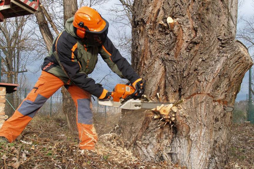 UPOZORNĚNÍ PRO OBČANY, NÁVŠTĚVNÍKY OBCE A ŘIDIČE VOZIDEL PROJÍŽDĚJÍCÍCH OBCÍ STRAŽISKO