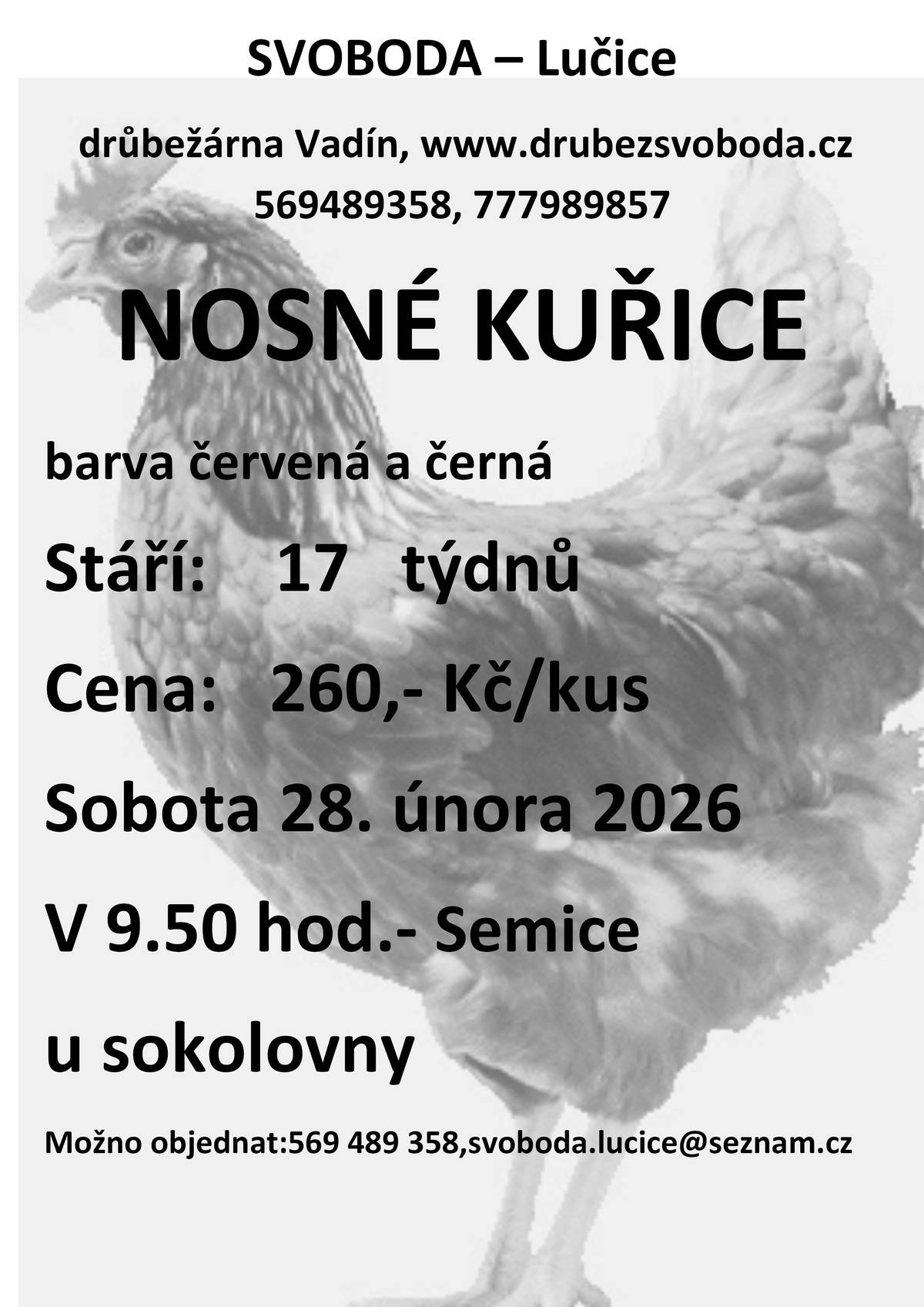 Firma Svoboda Lučice bude prodávat v sobotu 28. února 2026 v 9.50 hodin u sokolovny              nosné kuřice, stáří 17 týdnů, cena 260,- Kč/kus, barva červená a černá   Objednání je možné na  tel. 569 489 358 nebo emailem svoboda.lucice@seznam.cz