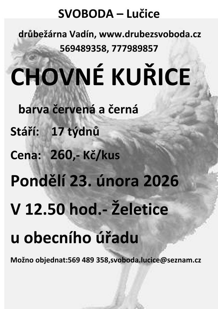 Prodej chovných kuřic - 23.2.2026