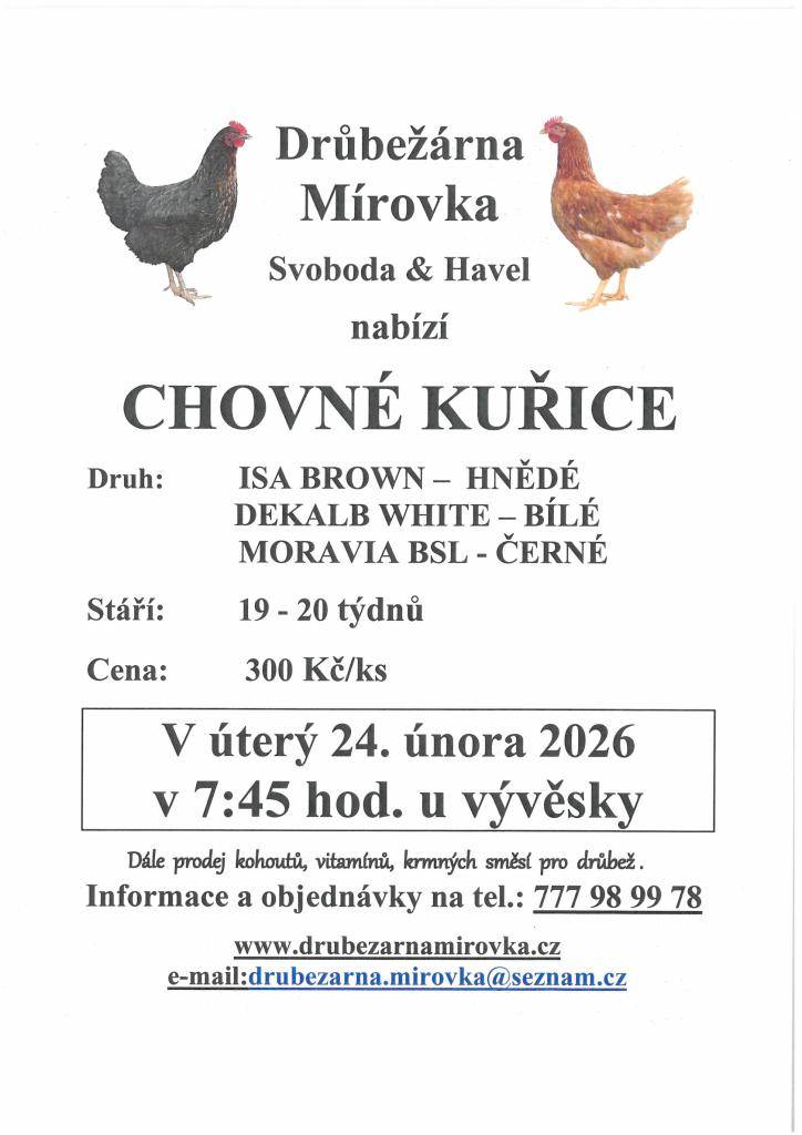 Drůbežárna Mírovka Svoboda § Havel přijede prodávat chovné kuřice, stáří 19.-20.týdnů, barva – hnědá, bílá, černá. Cena 300,-Kč/kus. Prodej se uskuteční 24.2.2026 od 7:45 hod. Na Rynku. Informace a objednávky na tel.č. 777 98 99 78.