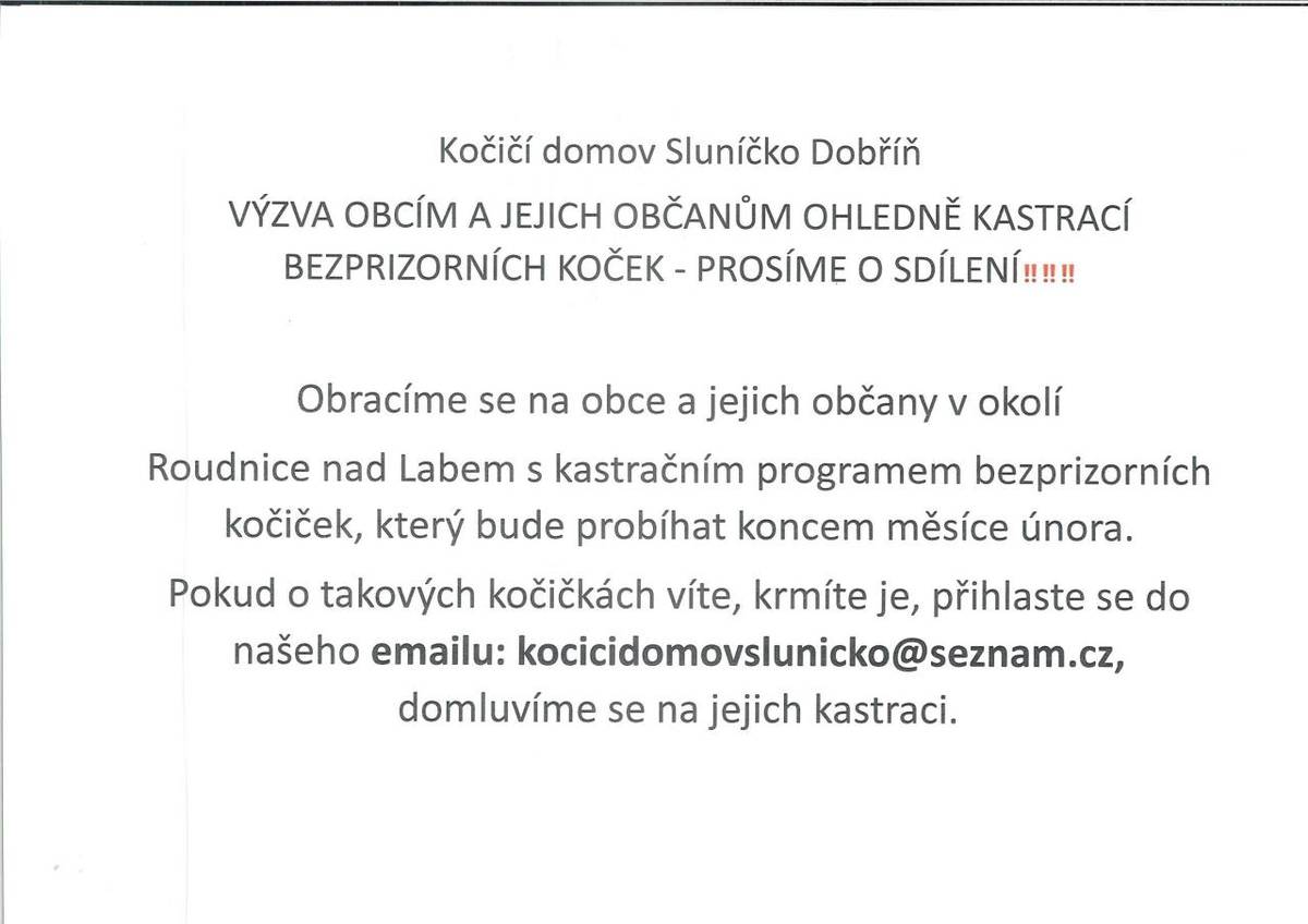 Kočičí domov Sluníčko Dobříň - výzva obcím a jejich občanům
