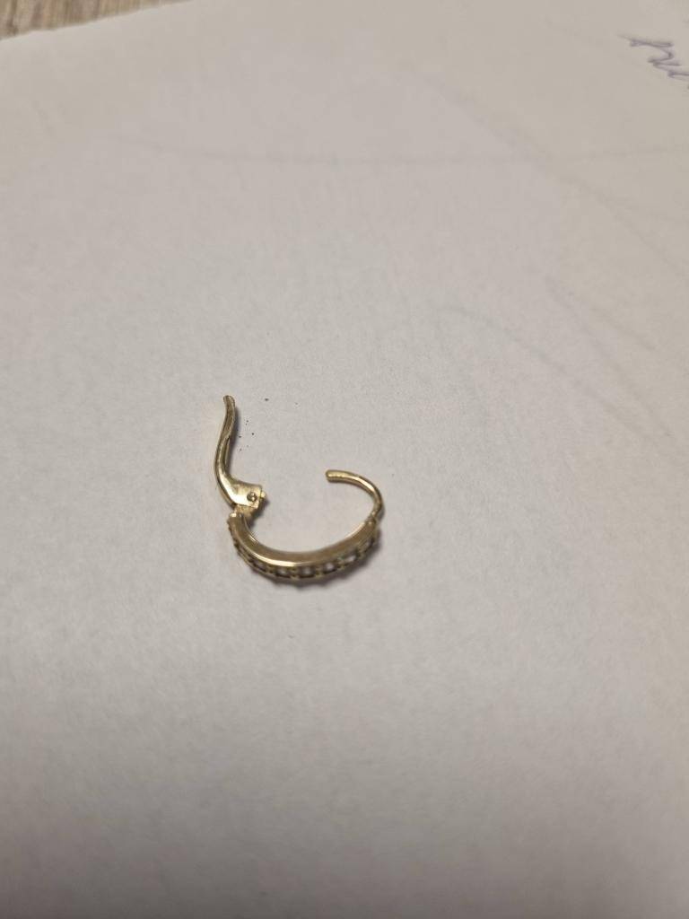 1/2026  nalezena přibližně uprostřed Pístecké stezky