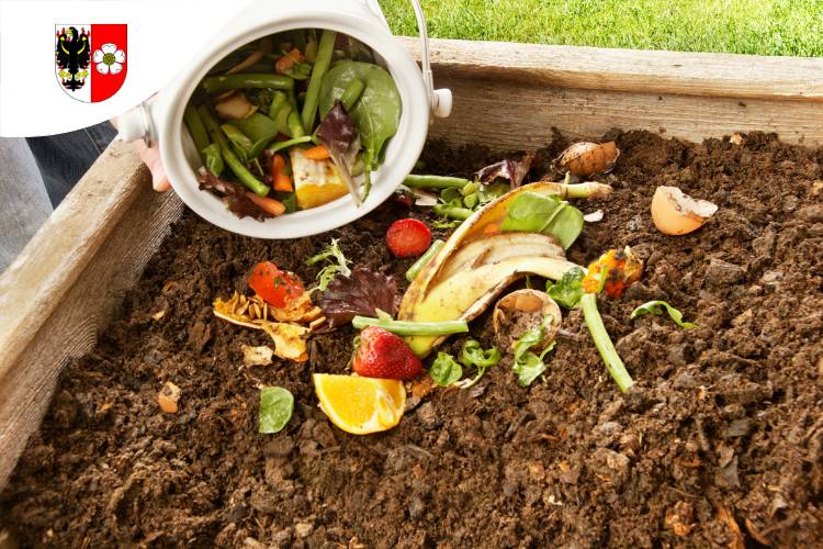 Pomozte nám zlepšit nakládání s bioodpadem v Roztokách – vyplňte prosím krátký dotazník níže. Zabere jen pár minut.    Zároveň vás srdečně zveme na 1. kompostovací setkání. Přijďte si popovídat, zeptat se a sdílet své zkušenosti.