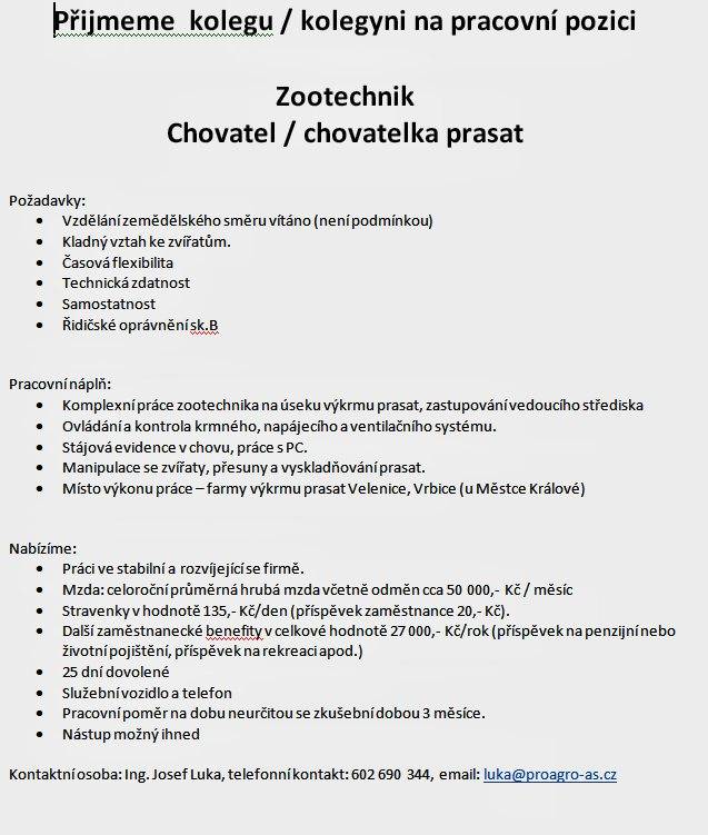 Hledáme posily do našeho teamu.