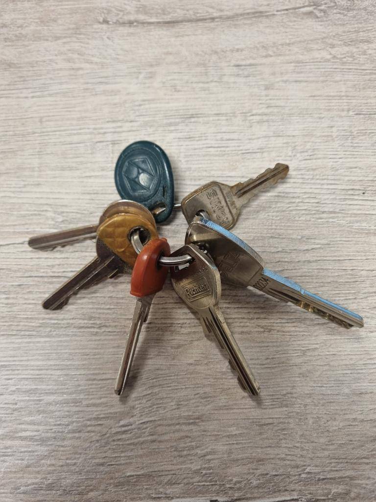 2/2026  nalezeny u jezera, přibližně v místě hasičského cvičení