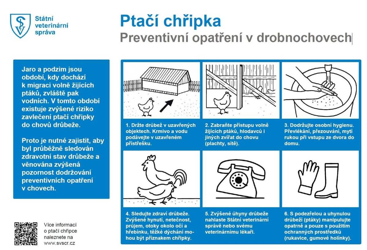 Krajská veterinární správa Státní veterinární správy pro Moravskoslezský kraj informovala o výskytu vysoce patogenní aviární influenzy (ptačí chřipky, subtyp H5N1) u volně žijících ptáků v našem regionu.  Nákaza byla laboratorně potvrzena v souvislosti s hromadným úhynem volně žijících ptáků na vodní ploše Zadník v Dolní Lutyni a dále u uhynulé husy divoké nalezené v katastru Staré Město u Karviné. Žádáme občany, aby dbali zvýšené opatrnosti zejména při kontaktu s volně žijícím ptactvem. V případě nálezu uhynulých ptáků se jich nedotýkejte a informujte příslušné orgány. Chovatelům drůbeže a jiných ptáků chovaných v zajetí je důrazně doporučeno dodržovat opatření biologické bezpečnosti, zejména:   zabránit kontaktu chovaných ptáků s volně žijícím ptactvem,   umístit krmivo a napájecí vodu do budov nebo pod přístřešky tak, aby nedošlo ke kontaminaci trusem volně žijících ptáků,   sledovat zdravotní stav chovaných ptáků.   V případě zvýšených úhynů, změn zdravotního stavu nebo poklesu snášky je nutné neprodleně kontaktovat Krajskou veterinární správu pro Moravskoslezský kraj. Podrobné informace a celý dopis Státní veterinární správy naleznete ZDE.   Leták Ptačí chřipka - preventivní opatření v drobnochovech naleznete ZDE.