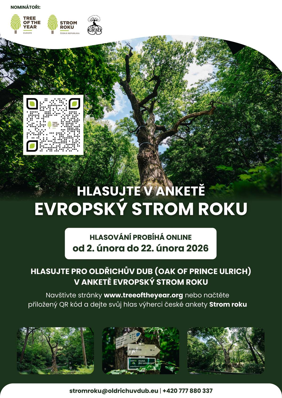 Legendami opředený Oldřichův dub, spojený s příběhem knížete Oldřicha a Boženy, byl vybrán jako zástupce České republiky v prestižní anketě Evropský strom roku. Podpořme společně tento jedinečný symbol našeho přírodního i kulturního dědictví! 👉 Hlasovat můžete zde: 🔗 https://www.treeoftheyear.org/vote Jak hlasovat: ✔️ Vyberte Oldřichův dub (Czech Republic). ✔️ Zvolte ještě druhý strom (hlasování je možné pouze pro dva stromy). ✔️ Odešlete svůj hlas. ✔️ Následně potvrďte hlasování kliknutím na odkaz, který vám přijde na zadaný e-mail - bez tohoto potvrzení jsou hlasy neplatné. Upozorňujeme, že hlasování probíhá v angličtině. Děkujeme všem, kteří podpoří českého zástupce a pomohou zviditelnit naše přírodní dědictví v evropském měřítku. 💚🌿