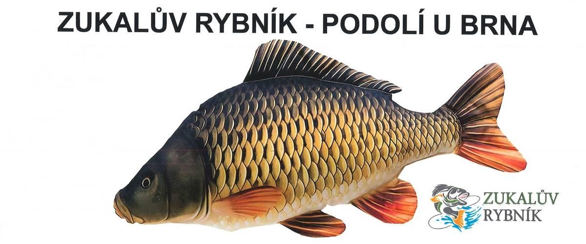 Pan Zukal oznamuje, že v sobotu 14. února v době od 9:00 do 14:00 bude na Zukalově mlýně prodávat živé ryby. K prodeji bude pstruh a kapr. Cena kapra je 120,- Kč/kg, při odběru nejméně 3 kusů je cena 100,- Kč/kg.