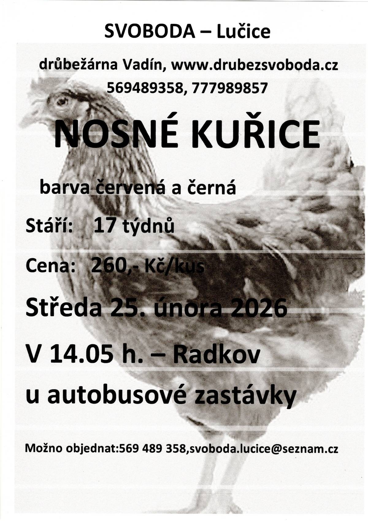 Firma Svoboda Lučice bude prodávat ve středu 25. února 2026 v 14.05 hodin u autobusové zastávky nosné kuřice, 17 týdnů, cena 260,- Kč/kus